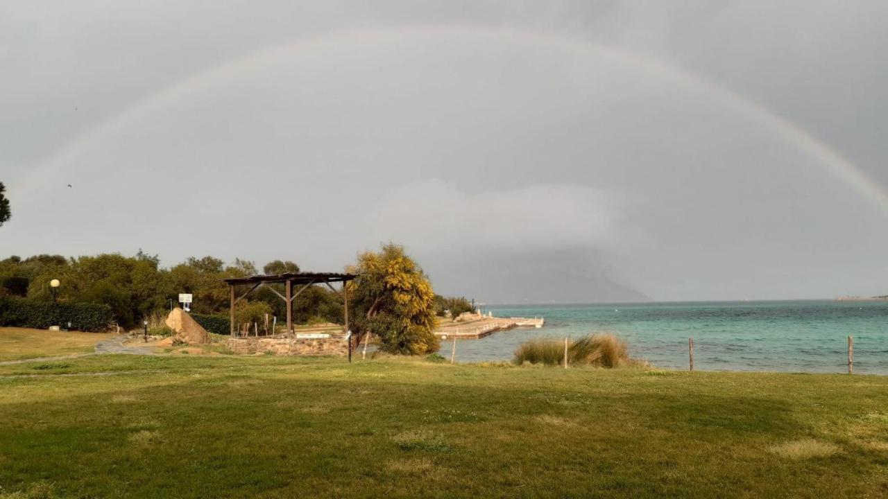 Villa Raffaello Porto San Paolo  Εξωτερικό φωτογραφία