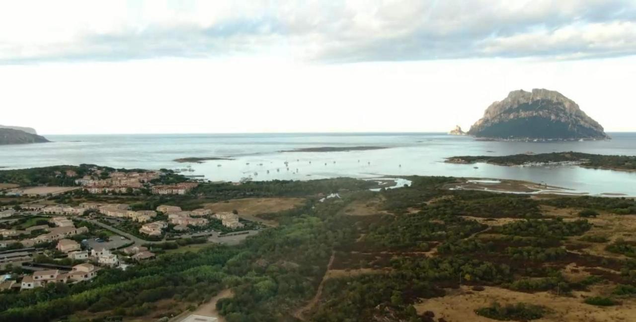 Villa Raffaello Porto San Paolo  Εξωτερικό φωτογραφία