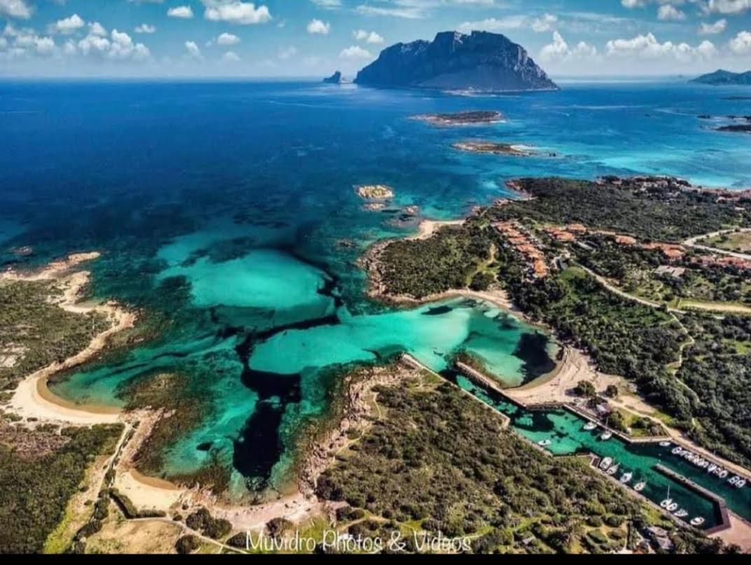 Villa Raffaello Porto San Paolo  Εξωτερικό φωτογραφία